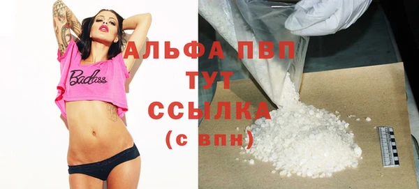 СК Абинск
