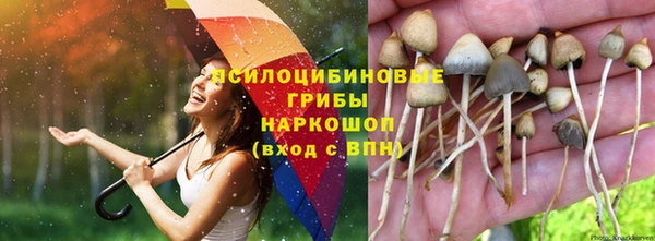 стаф Няндома