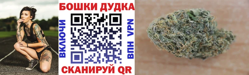 как найти Партизанск Бошки Шишки Amnesia